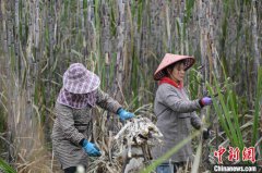 全国首笔金融租赁公司银行间债券市场同业柜台业务落地天津